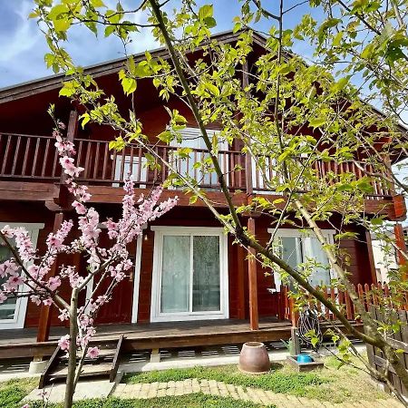 Log House #Ab1 Appartement Seto Buitenkant foto